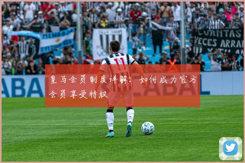 皇马会员制度详解：如何成为官方会员享受特权